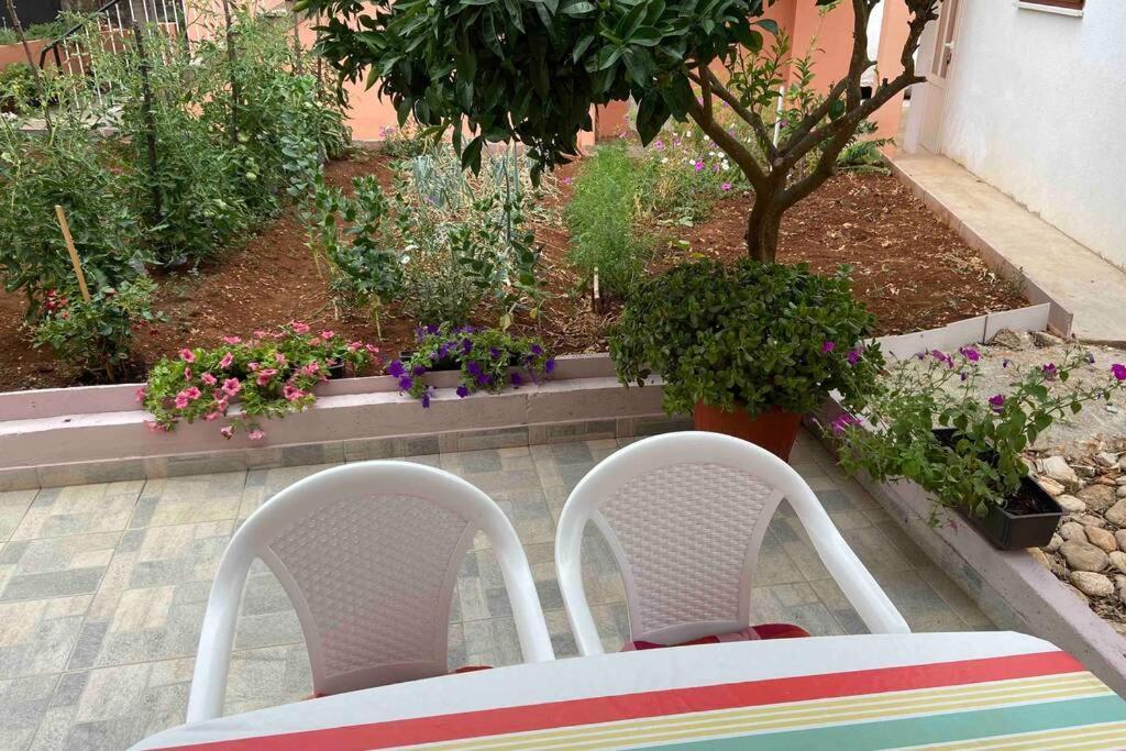 Manuel Appartement Korčula Buitenkant foto